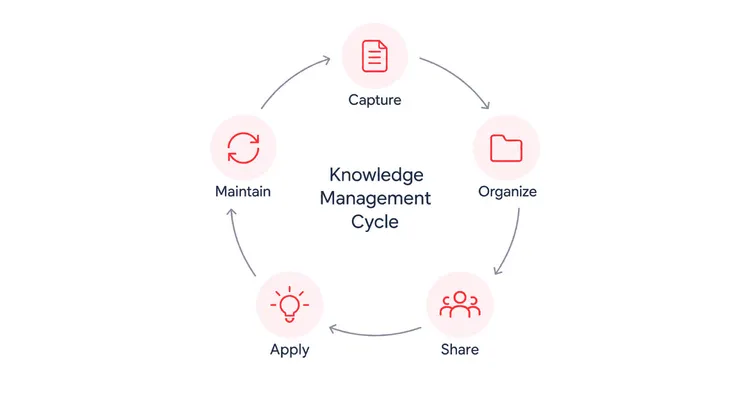 Knowledge management cycle: capture, organize, share, apply, maintain